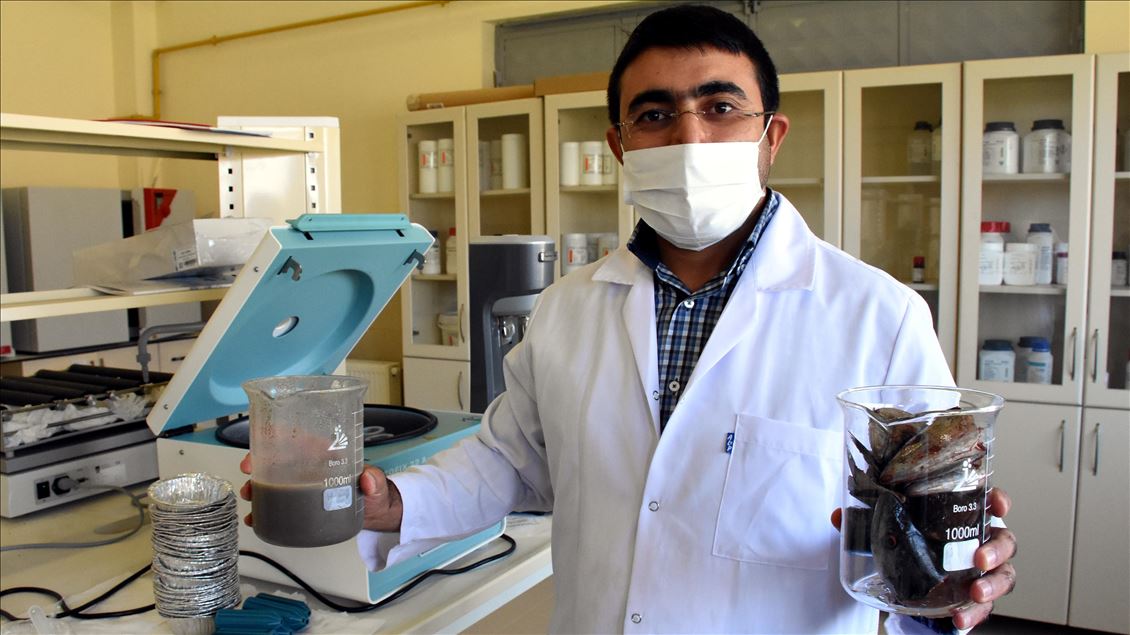 Palamut ve alabalık atıklarını protein tozuna dönüştürdüler