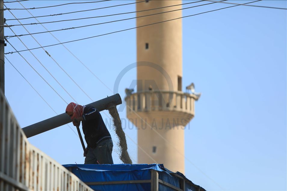 عام مر على بدء عملية "نبع السلام"، ض