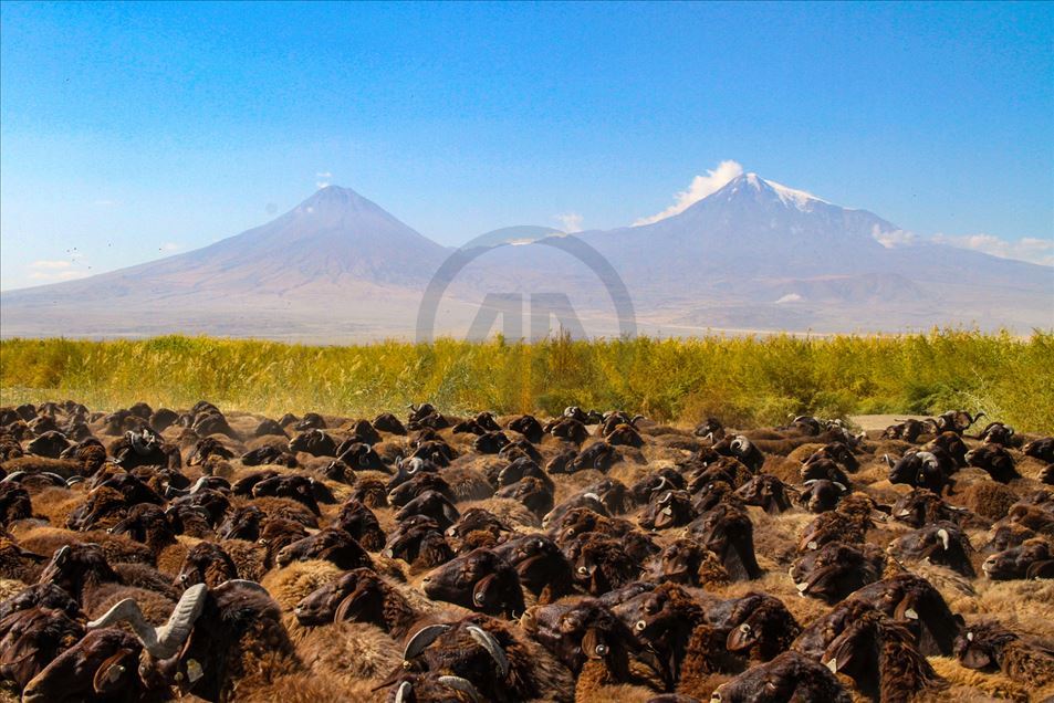 Las mejores imágenes de este 08 de Octubre, 2020