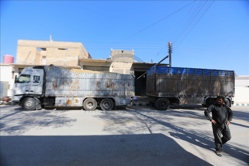 عام مر على بدء عملية "نبع السلام"، ض