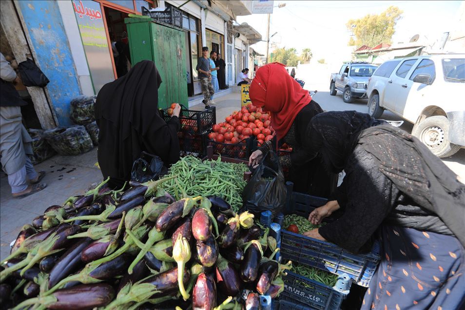 عام مر على بدء عملية "نبع السلام"، ض
