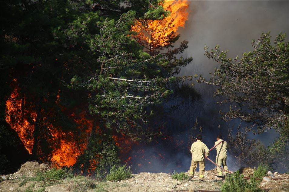 Hatay'daki orman yangınına karadan müdahale sürüyor