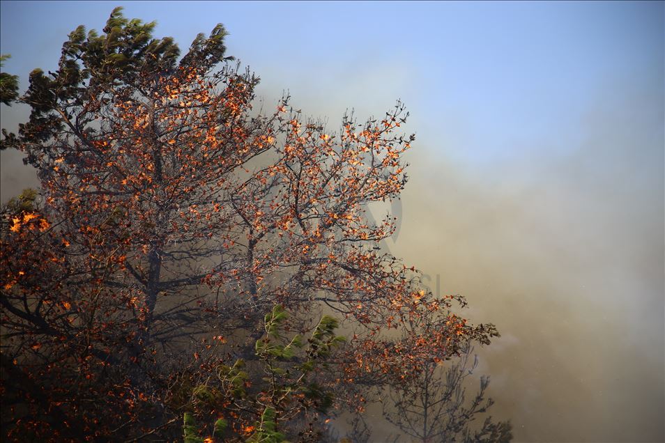 Hatay'daki orman yangınına karadan müdahale sürüyor