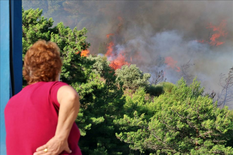 Hatay'daki orman yangınına karadan müdahale sürüyor