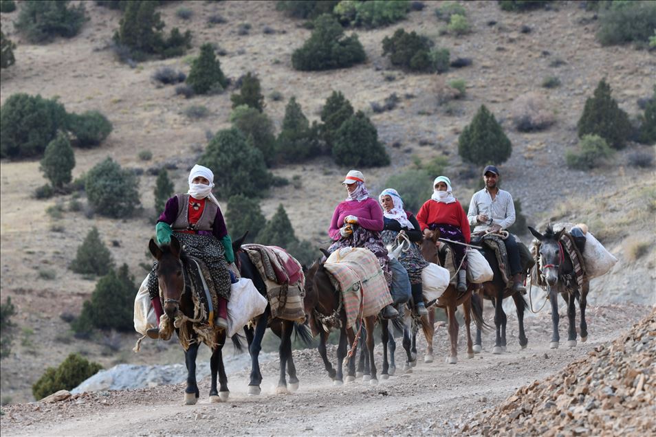 Women's Journey to Highlands in Van