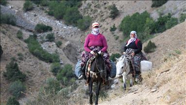 Women's Journey to Highlands in Van