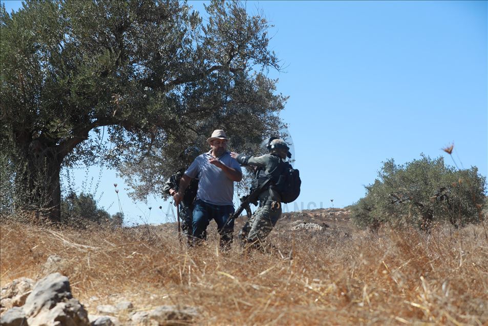 İsrail askerlerinden Filistinlilerin zeytin toplamasına engel
