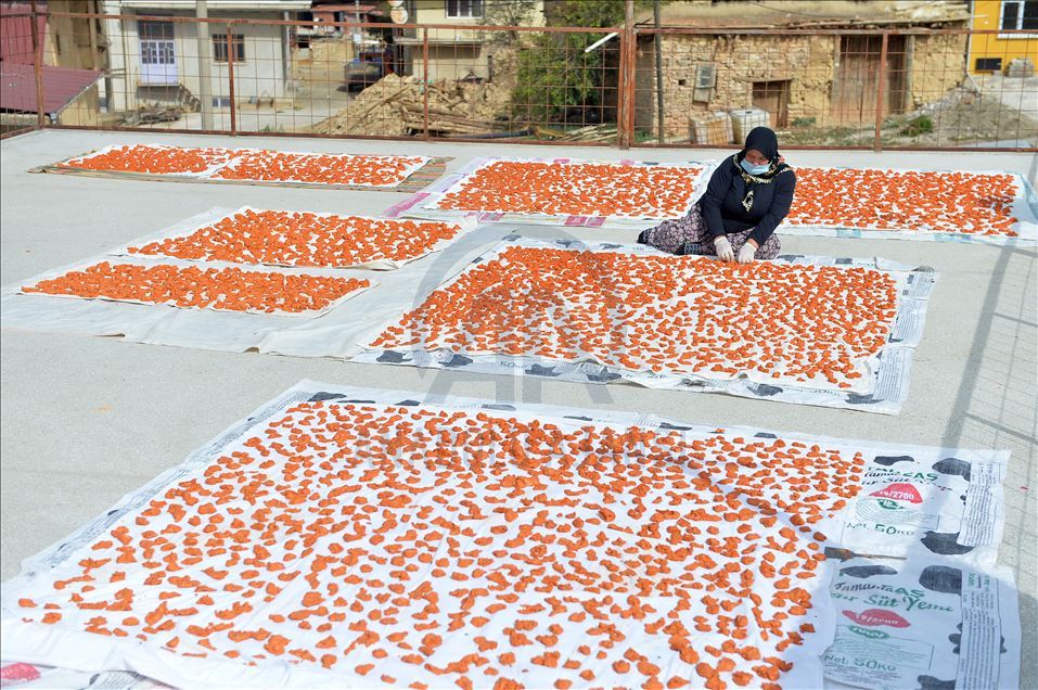 Uşaklı kadınların "tarhana" mesaisi başladı