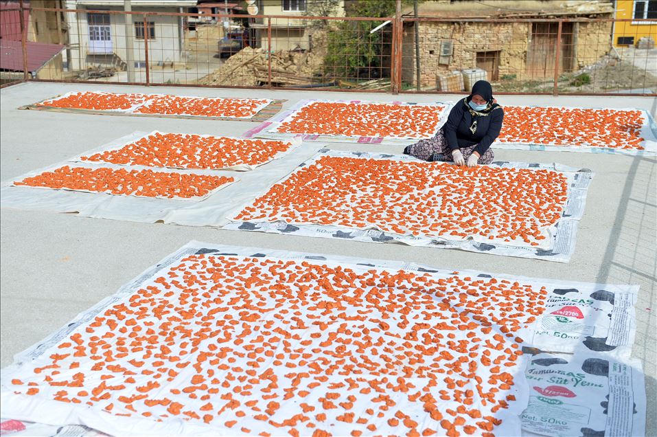 Uşaklı kadınların "tarhana" mesaisi başladı
