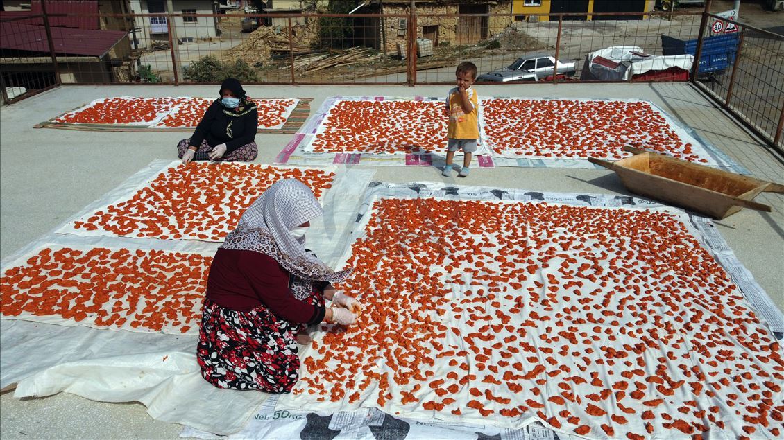 Uşaklı kadınların "tarhana" mesaisi başladı
