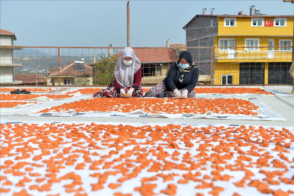 Uşaklı kadınların "tarhana" mesaisi başladı