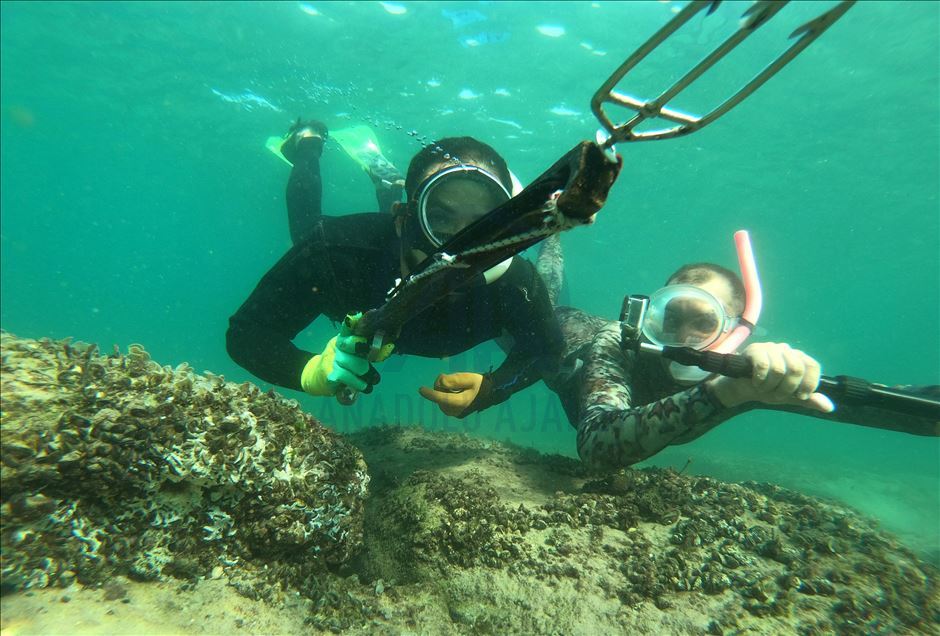 Fotógrafo palestino dirige su lente a los pescadores de Gaza