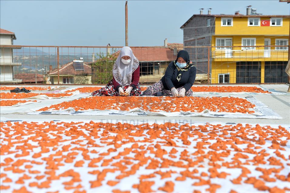 Uşaklı kadınların "tarhana" mesaisi başladı