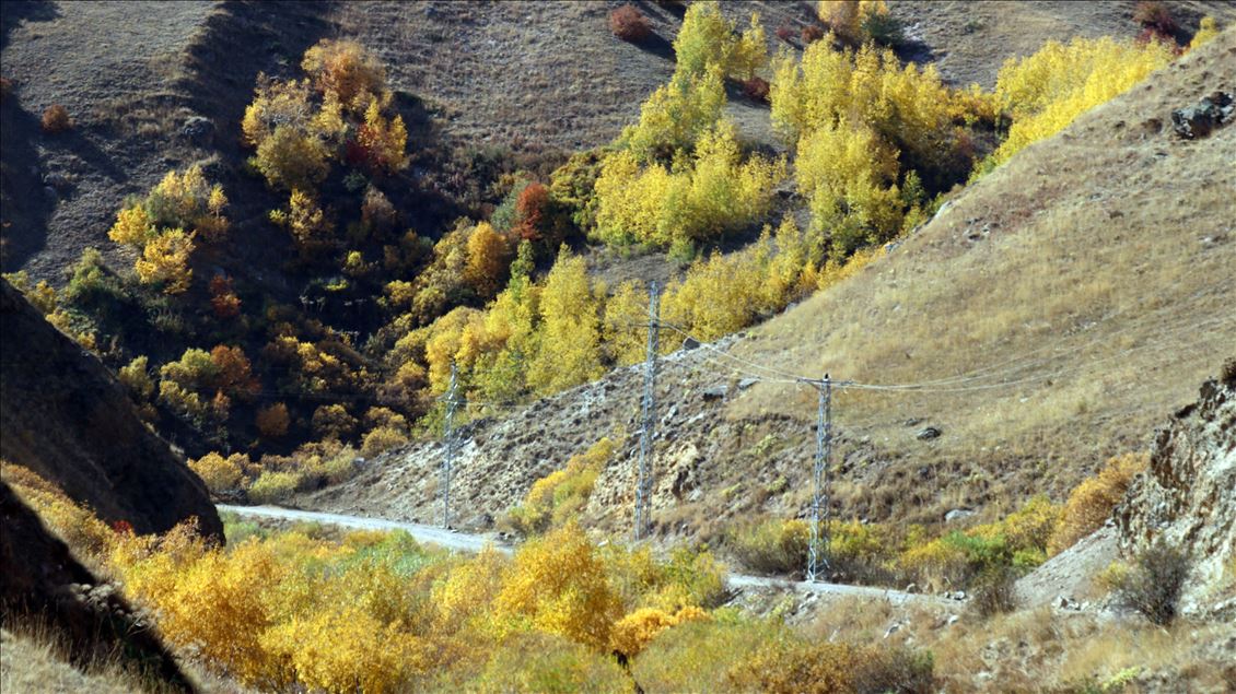 جادوی فصل برگریزان در دامنه کوه آغری ترکیه