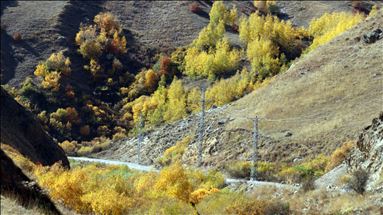 جادوی فصل برگریزان در دامنه کوه آغری ترکیه