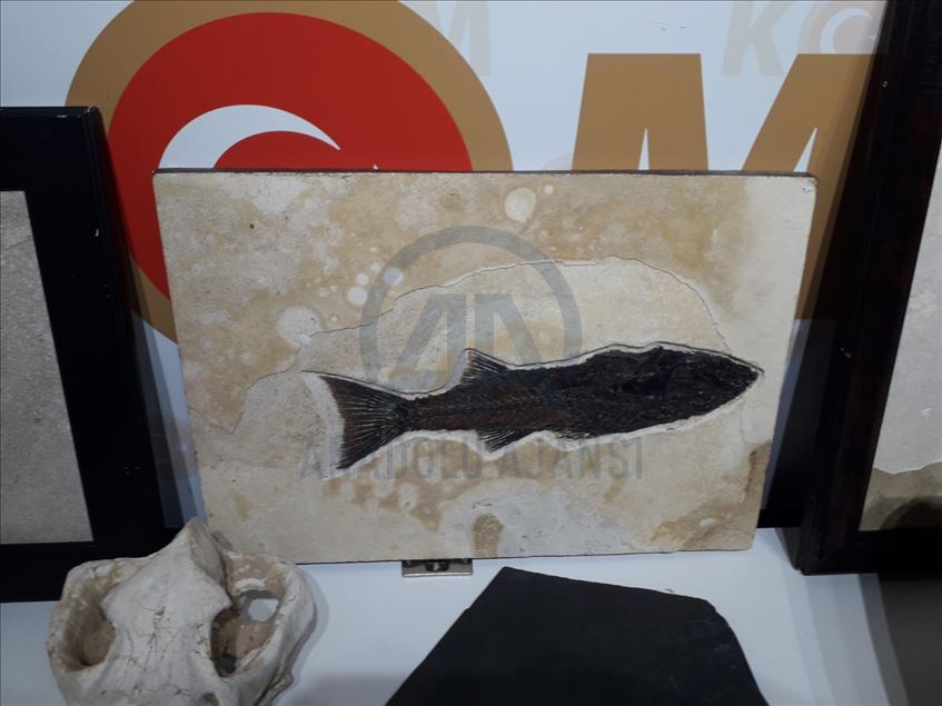 Adnan Oktar'ın Ankara'daki evlerinden milyon dolarlık fosiller çıktı
