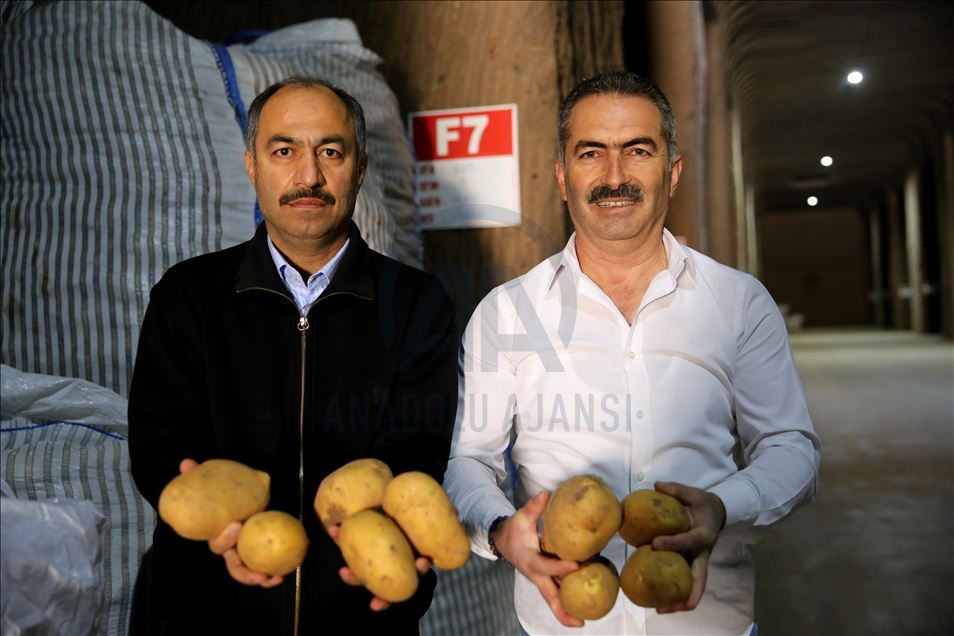 Türkiye'nin patatesi, Kapadokya'daki kayadan oyma depolarda muhafaza ediliyor