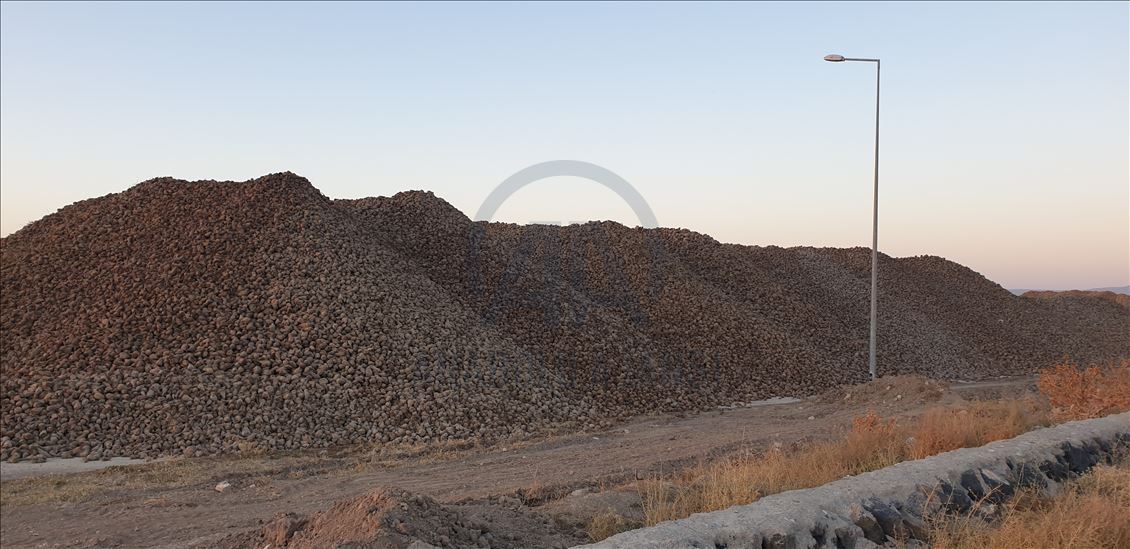 Li Agiriyê rakirina silqan dest pê kir