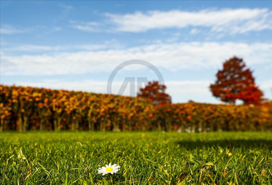 El otoño llega a la capital alemana, Berlín
