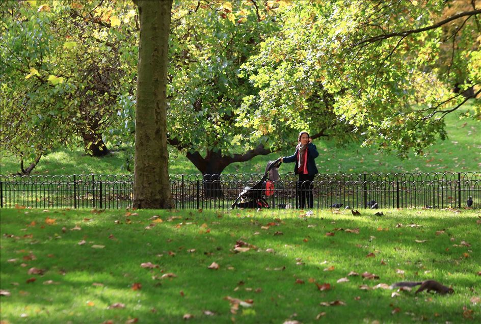 جلوه‌های رنگارنگ پاییز در پایتخت انگلستان