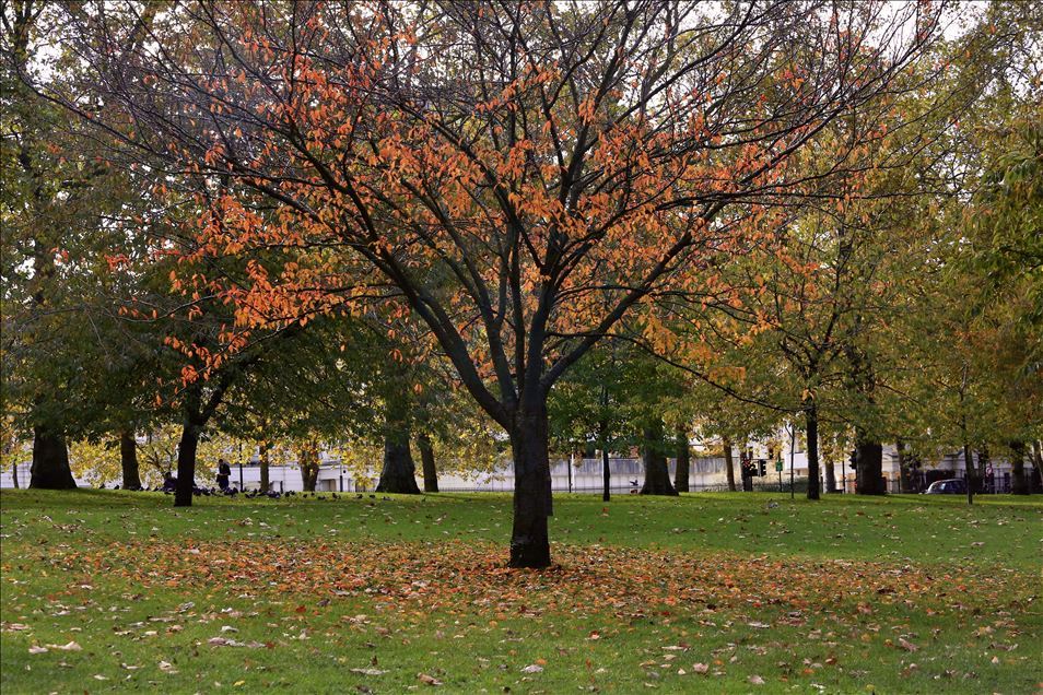 جلوه‌های رنگارنگ پاییز در پایتخت انگلستان