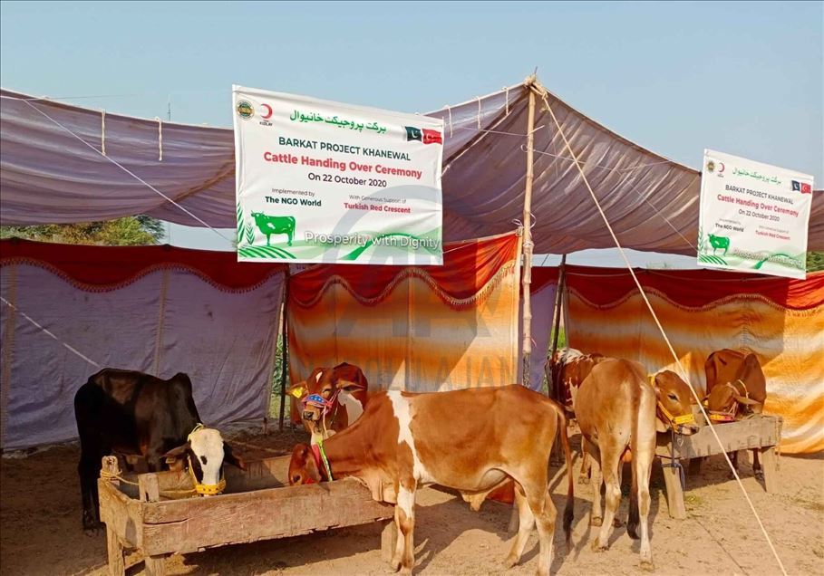 الهلال الأحمر التركي يدعم مزارعين باكستانيين برؤوس ماشية
