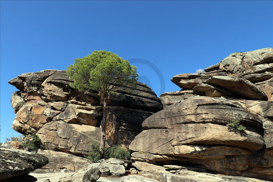 Latmos'daki kaya resimleri, dünyaya "kardeşlik" mesajıyla tanıtılacak

