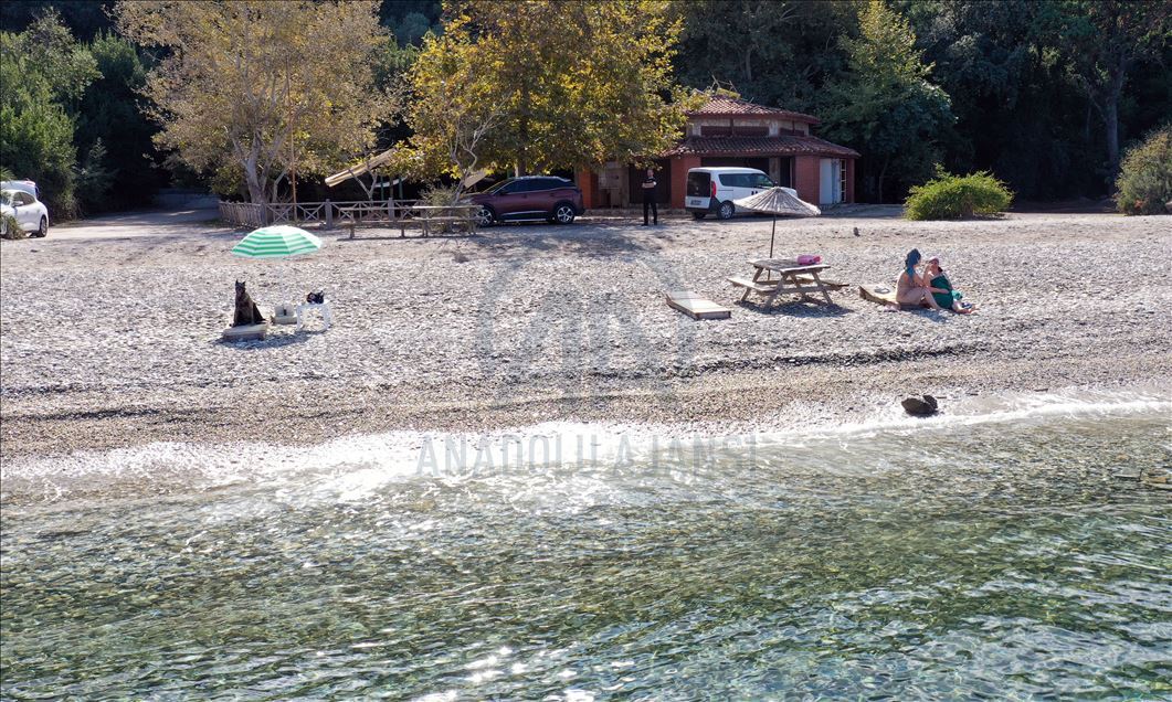 Narkotiğin hassas burnu "Çayra" emekli oldu