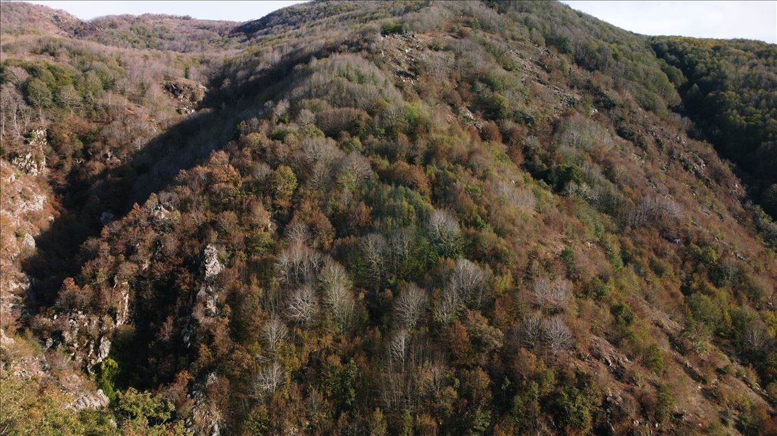 Осень на юге Турции: буйство красок в горах Аманос
