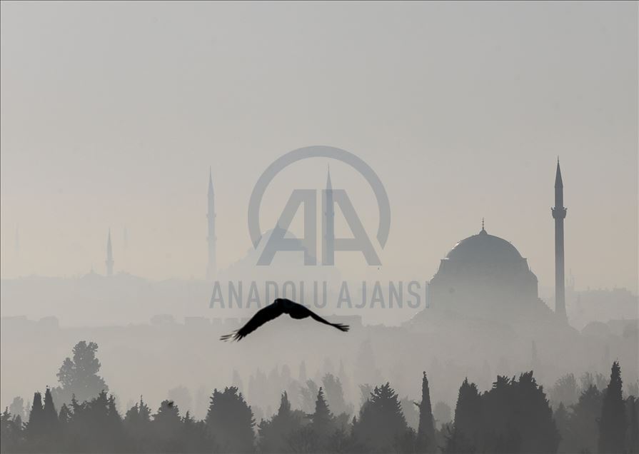 Misty morning in Istanbul