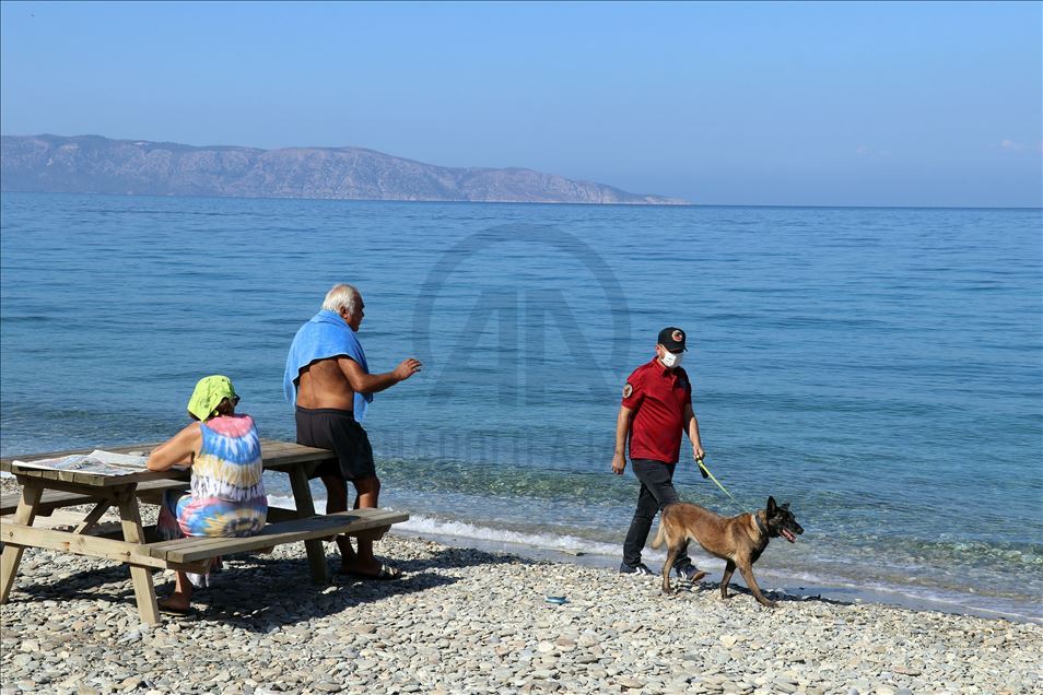Narkotiğin hassas burnu "Çayra" emekli oldu