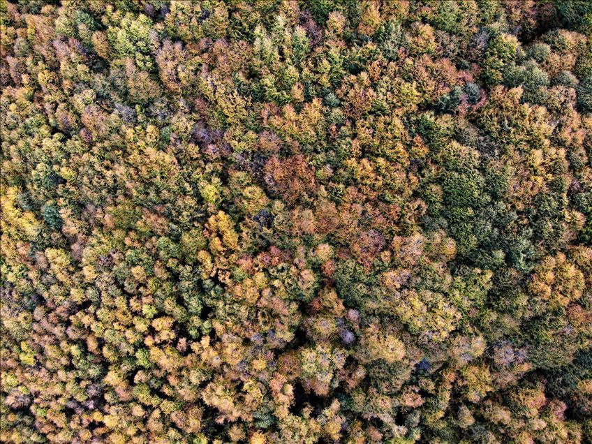 Autumn colours of Mount Boyali in Kutahya province of Turkey