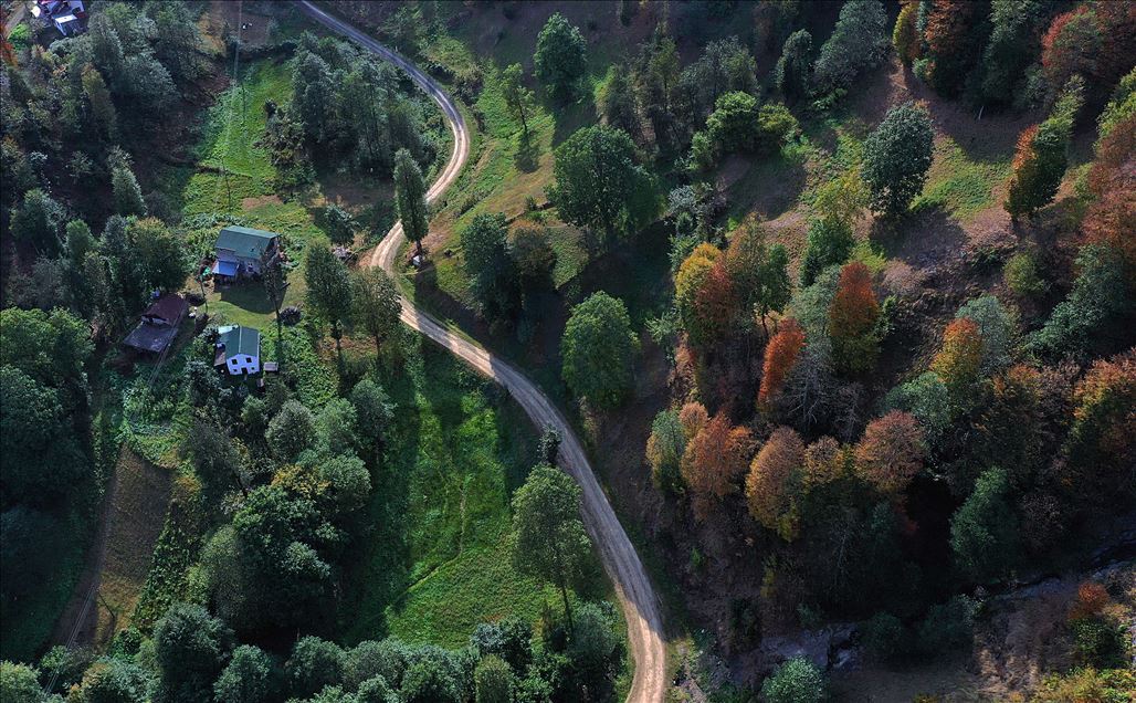 Autumn colours of Hidirnebi highland in Trabzon