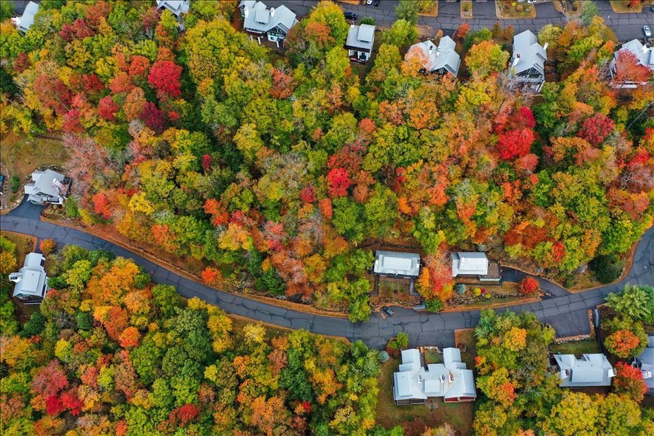 Fall foliage in New Hampshire 

