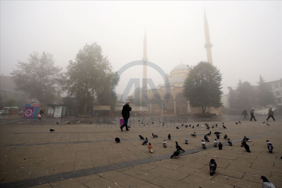 Densa niebla cubre Duzce, Turquía