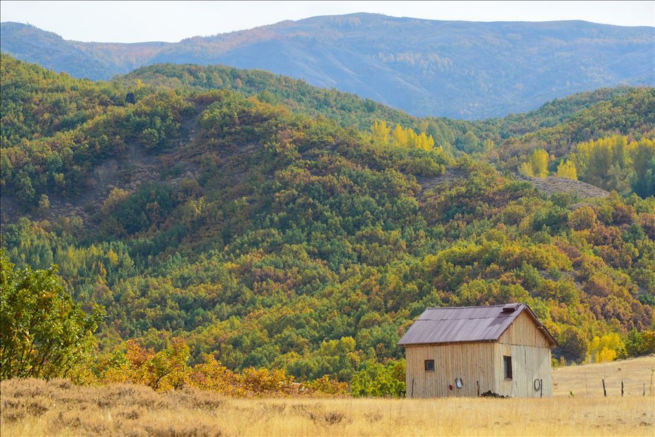 Tunceli ormanlarında güz renkleri göz kamaştırıyor
