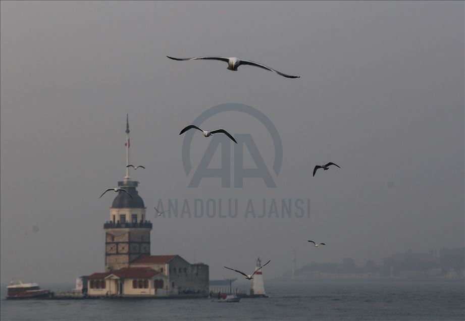 Misty morning in Istanbul

