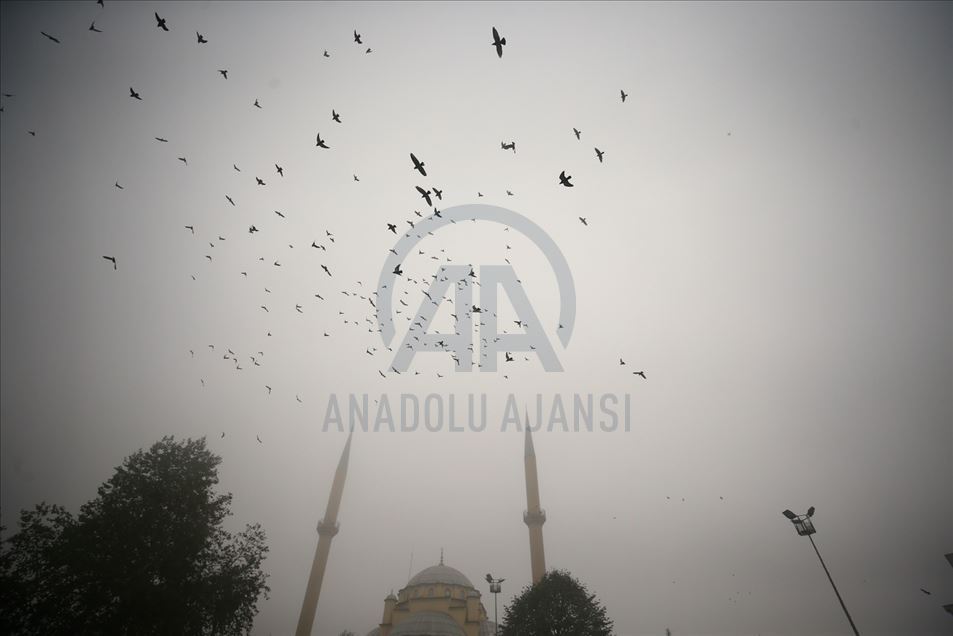 Densa niebla cubre Duzce, Turquía