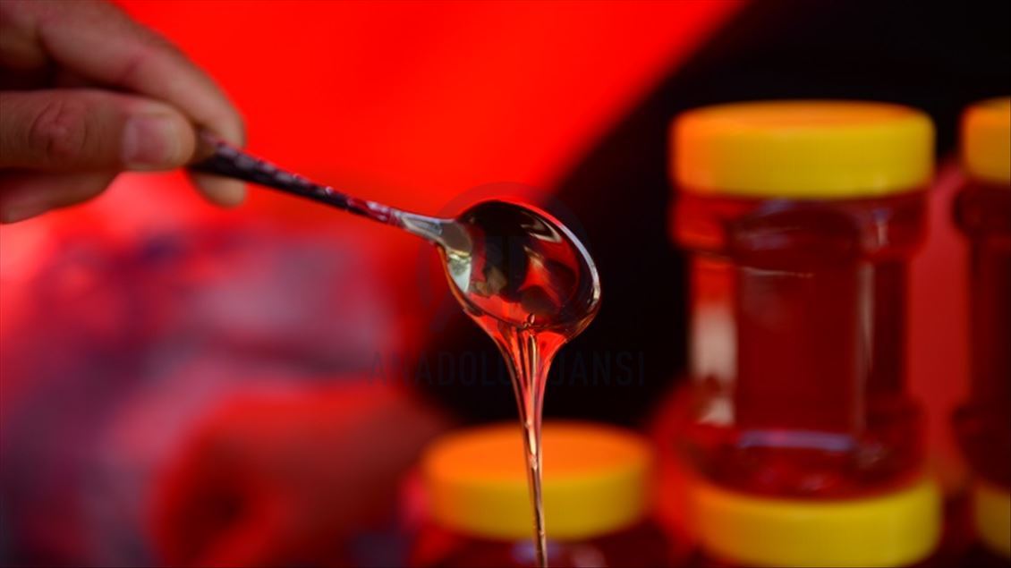 سلێمانی.. پێنجەمین فێستیڤاڵی هەنگوین