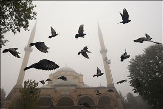 Densa niebla cubre Duzce, Turquía