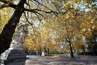 Colores durante el otoño en Bruselas