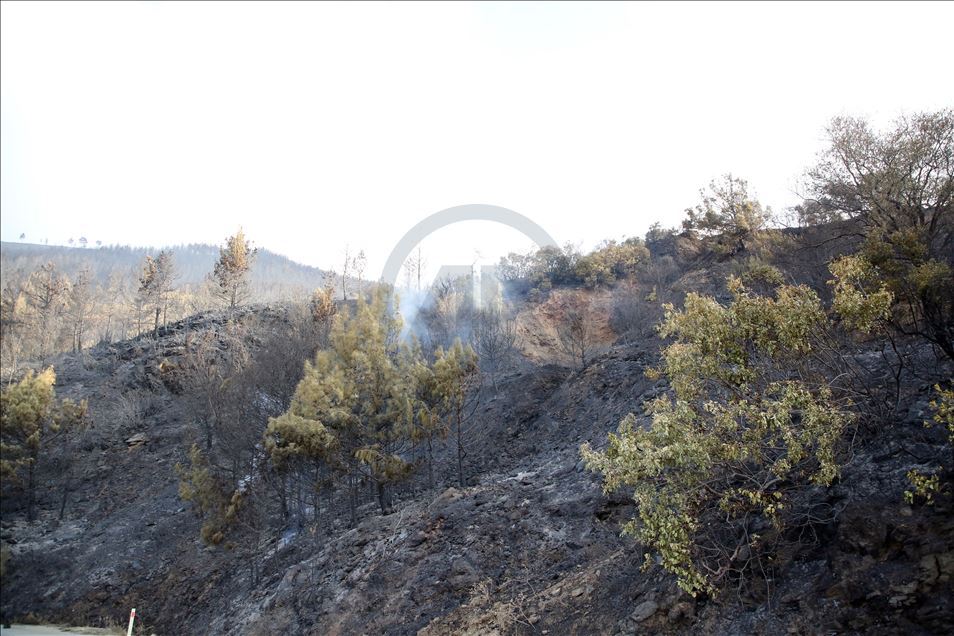 Anamur'daki orman yangını bölgesinde soğutma çalışmaları sürüyor