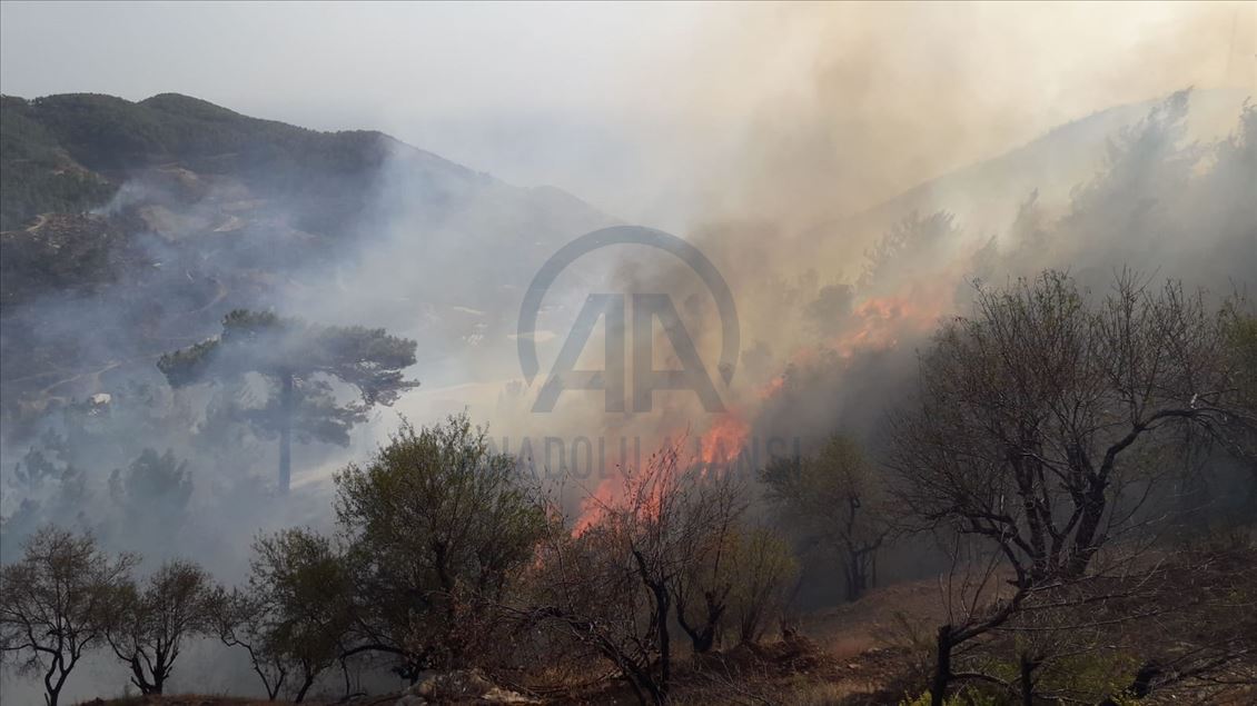 Incendio forestal en Mersin, Turquía 