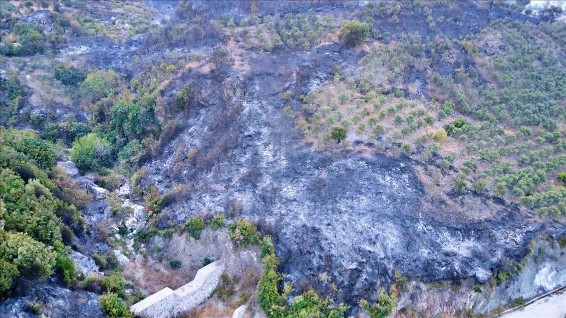 Hatay'daki orman yangınına müdahale sürüyor