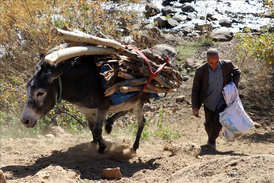 Xanima zozanê ji bo malbata xwe zehmetiyan dikşîne û debara malê dike