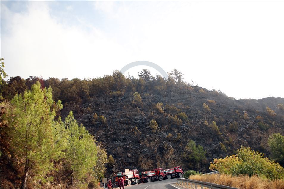 Anamur'daki orman yangını bölgesinde soğutma çalışmaları sürüyor