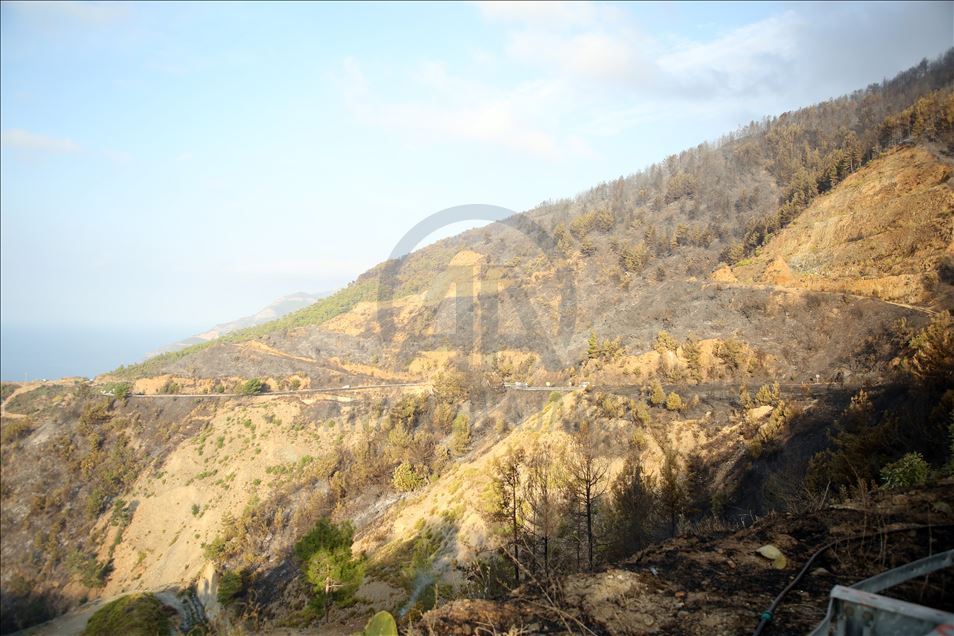 Anamur'daki orman yangını bölgesinde soğutma çalışmaları sürüyor