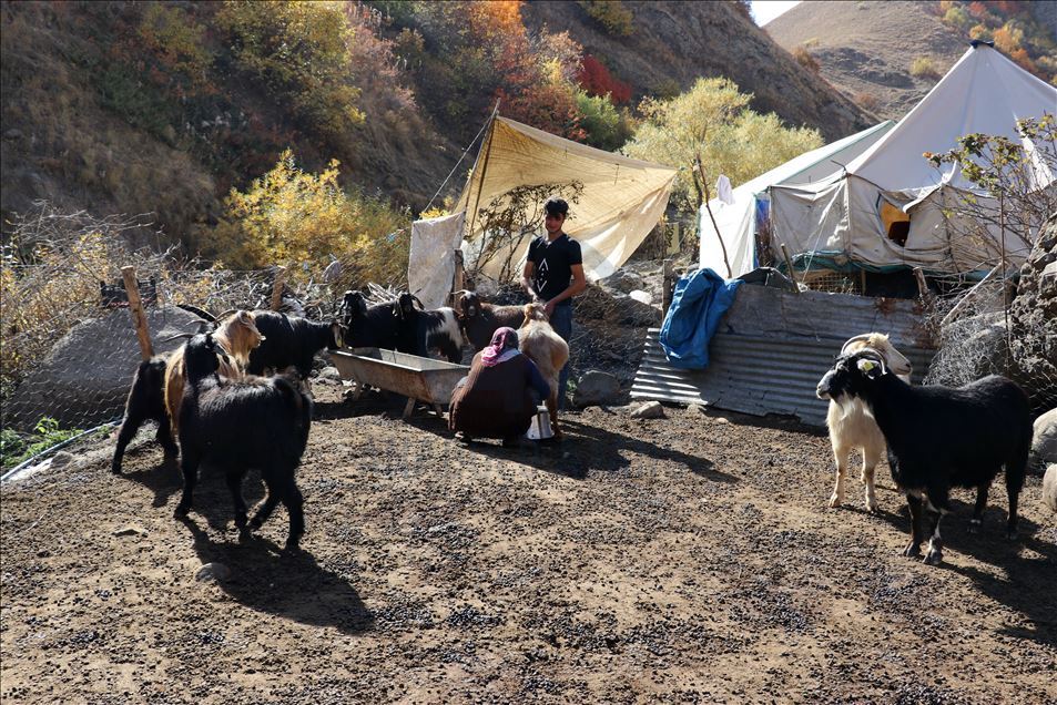 Xanima zozanê ji bo malbata xwe zehmetiyan dikşîne û debara malê dike