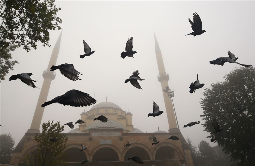 Düzce kent merkezi ve Anadolu Otoyolu'nda yoğun sis etkili oldu
