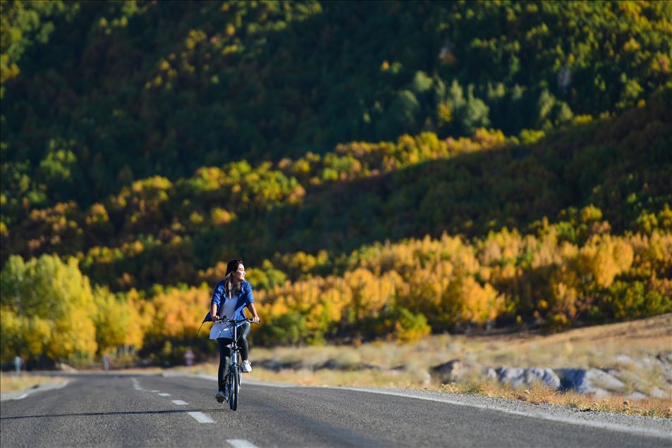 Ovacık'ta sonbahar renkleri görsel şölen sunuyor